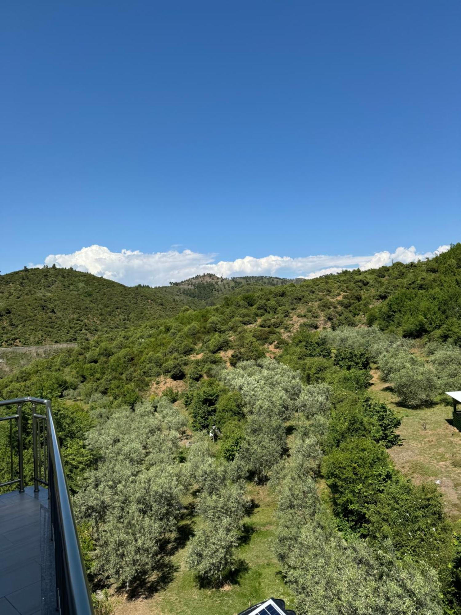 Qyteza Guest House & Camping Σκόδρα Εξωτερικό φωτογραφία